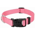 thumbnail image 1 of Country Brook Petz® Everyday Pink Nylon Dog Collar, Extra Large, 1 of 5