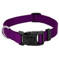 thumbnail image 1 of Country Brook Petz® Everyday Purple Nylon Dog Collar, Extra Small, 1 of 4