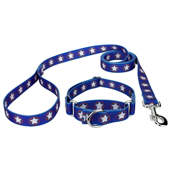 Country Brook Petz® American Stars Martingale Dog Collar and Leash Limited Edition, Small