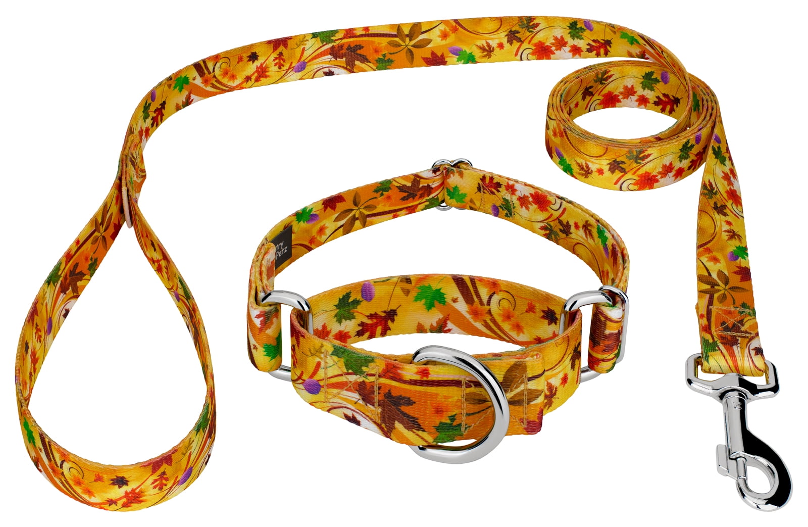 Country Brook Petz® Autumn Wind Martingale Dog Collar and Leash, Medium