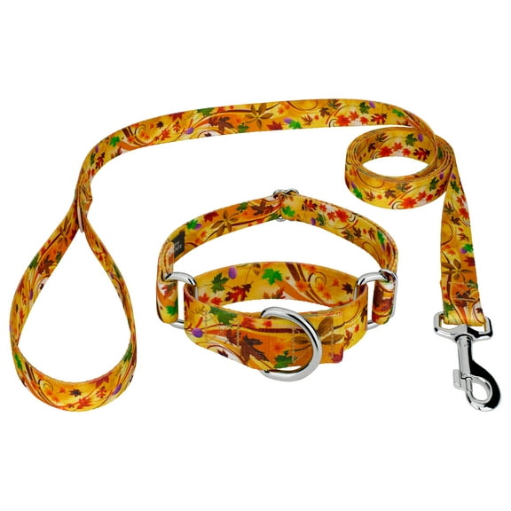 Country Brook Petz® Autumn Wind Martingale Dog Collar and Leash, Medium