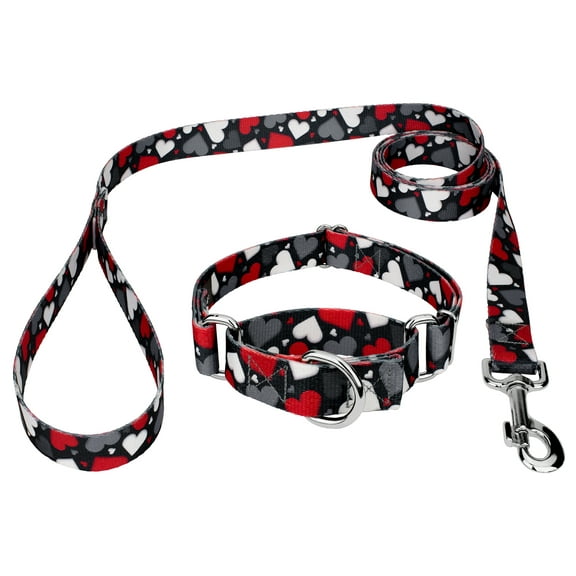 Country Brook Petz® Be Mine Martingale Dog Collar and Leash Limited Edition, Mini