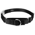 thumbnail image 1 of Country Brook Petz® Black Heavyduty Nylon Martingale with Premium Buckle, Medium, 1 of 6
