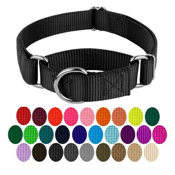 Country Brook Petz® Martingale Dog Collar - Training Collar with No Buckle (Black, 3XS)