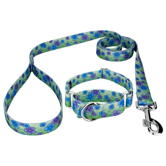 Country Brook Petz® Blue April Blossoms Martingale Dog Collar and Leash, 2XS