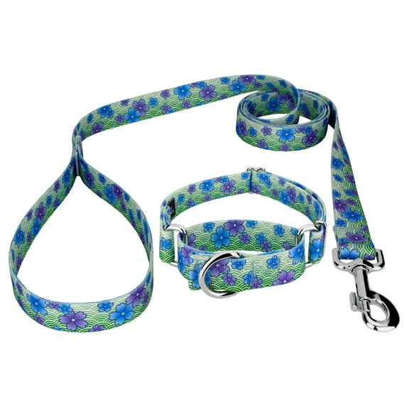 Country Brook Petz® Blue April Blossoms Martingale Dog Collar & Leash LTD, M