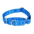 thumbnail image 1 of Country Brook Petz® Blue Bandana Martingale Dog Collar, Small, 1 of 6