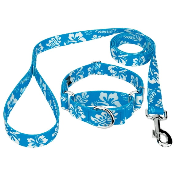 Country Brook Petz® Blue Hawaiian Martingale Dog Collar and Leash, Medium