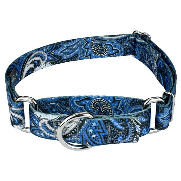 Country Brook Petz® Blue Paisley Martingale Dog Collar, Extra Small