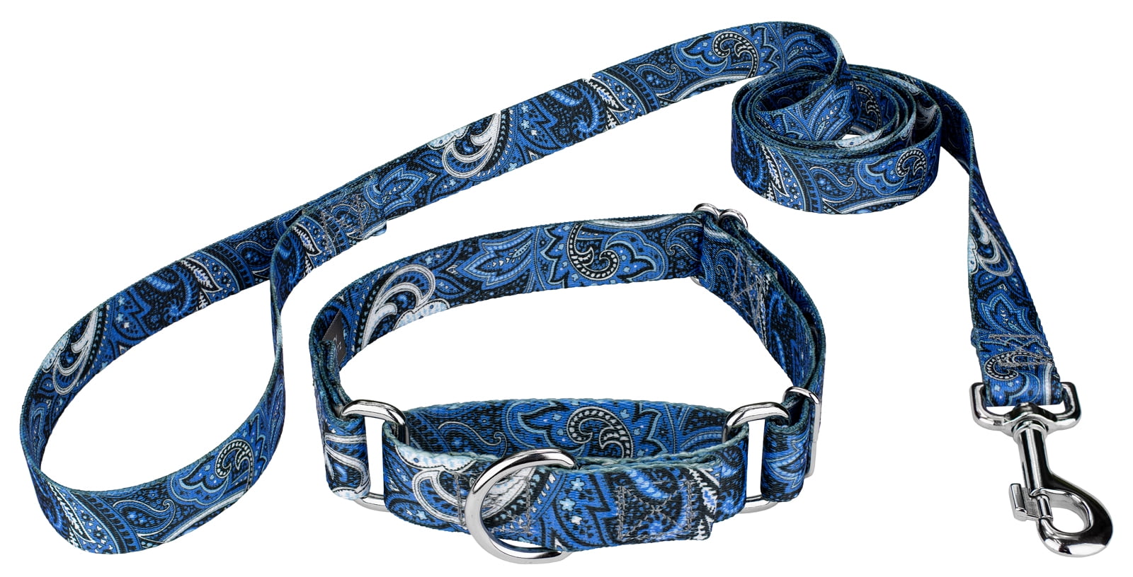 Country Brook Petz® Blue Paisley Martingale Dog Collar and Leash, Small