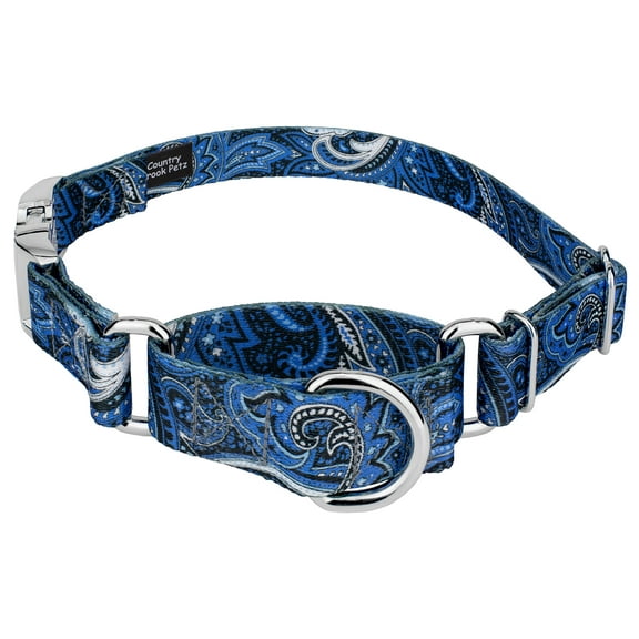Country Brook Petz® Blue Paisley Martingale with Premium Buckle, Large