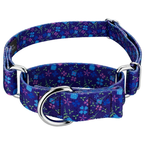 Country Brook Petz® Blueberry Fields Martingale Dog Collar, Extra Large
