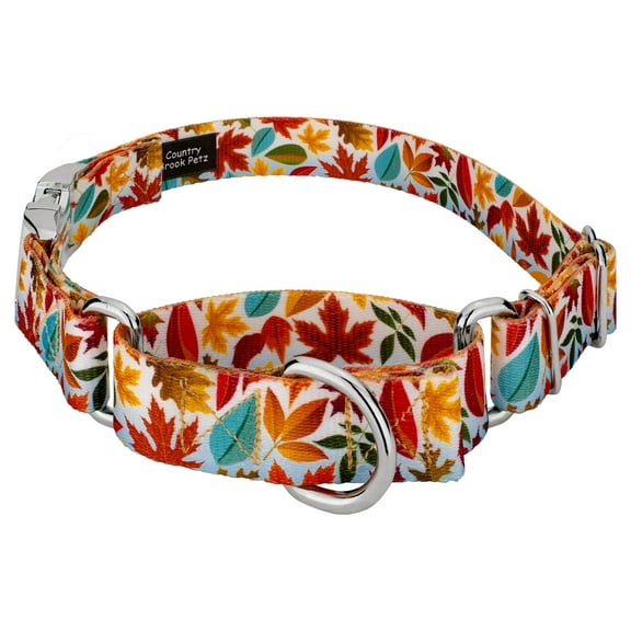Country Brook Petz - Brisk Autumn Martingale Dog Collar with Premium Buckle - Awesome Autumn Collection with 2 Design Yo