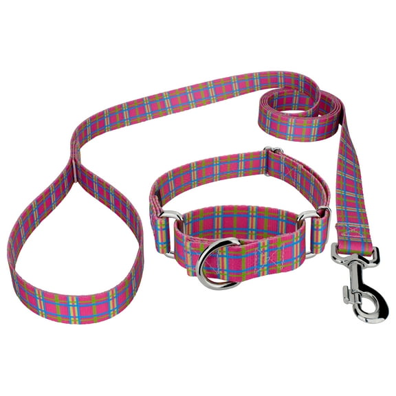 Country Brook Petz® Bubblegum Pink Plaid Martingale Dog Collar and Leash, 2XS