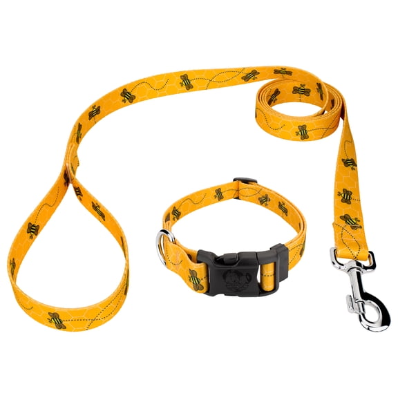 Country Brook Petz® Busy Bee Everyday Dog Collar and Leash, Large