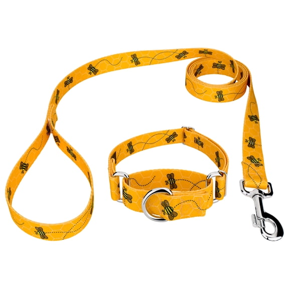 Country Brook Petz Busy Bee Martingale Dog Collar and Leash, 2XS