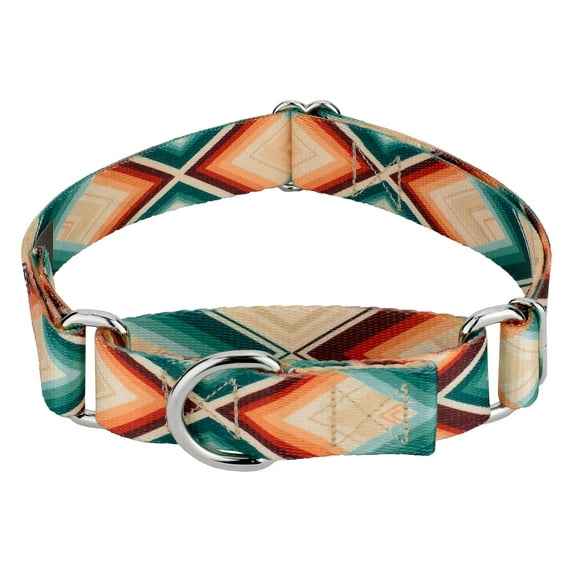 Country Brook Petz® Sedona Arrows Martingale Dog Collar, Small