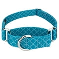 thumbnail image 1 of Country Brook Petz® Classy Chic Martingale Dog Collar Limited Edition, 2XS, 1 of 7