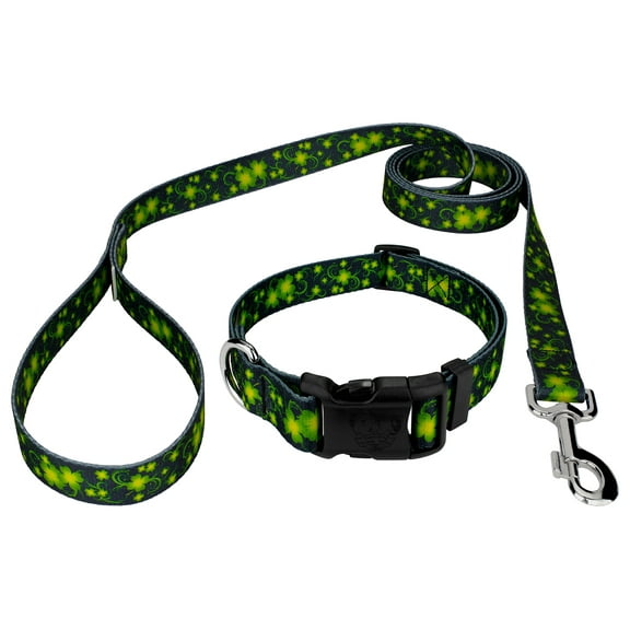Country Brook Petz® Clovers In The Wind Deluxe Dog Collar and Leash, Mini