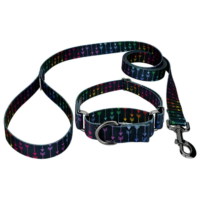 Country Brook Petz® Colorful Arrows Gunmetal Martingale Dog Collar and ...