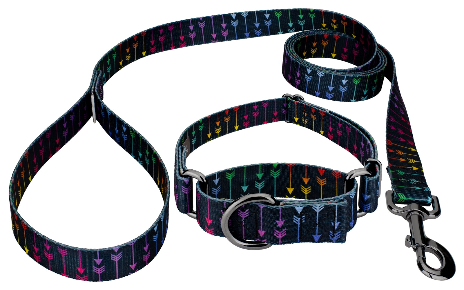 Country Brook Petz® Colorful Arrows Gunmetal Martingale Dog Collar and Leash, Small