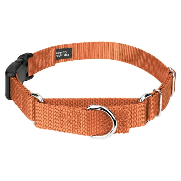 Country Brook Petz® Coral Durable Nylon Martingale with Deluxe Buckle - Made in the USA, Large