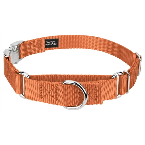Country Brook Petz® Coral Heavyduty Nylon Martingale with Premium Buckle, Extra Small