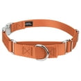 thumbnail image 1 of Country Brook Petz® Coral Heavyduty Nylon Martingale with Premium Buckle, Medium, 1 of 6