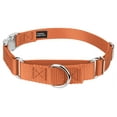 thumbnail image 1 of Country Brook Petz® Coral Heavyduty Nylon Martingale with Premium Buckle, Small, 1 of 6