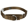 thumbnail image 1 of Country Brook Petz® Coyote Tan Heavyduty Nylon Martingale with Premium Buckle, Large, 1 of 6