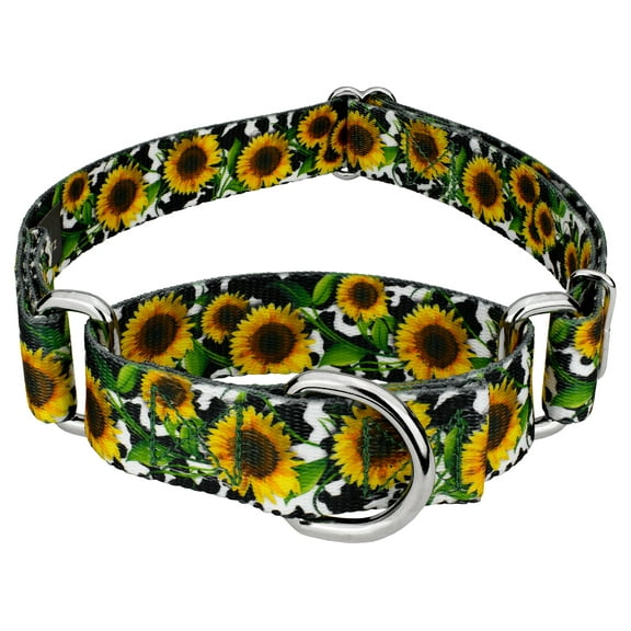 Country Brook Petz® Dairy Fields Martingale Dog Collar, 2XS