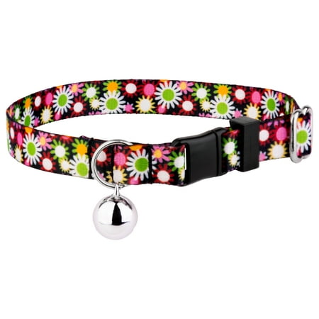 Country Brook Petz® Daisy Fields Cat Collar