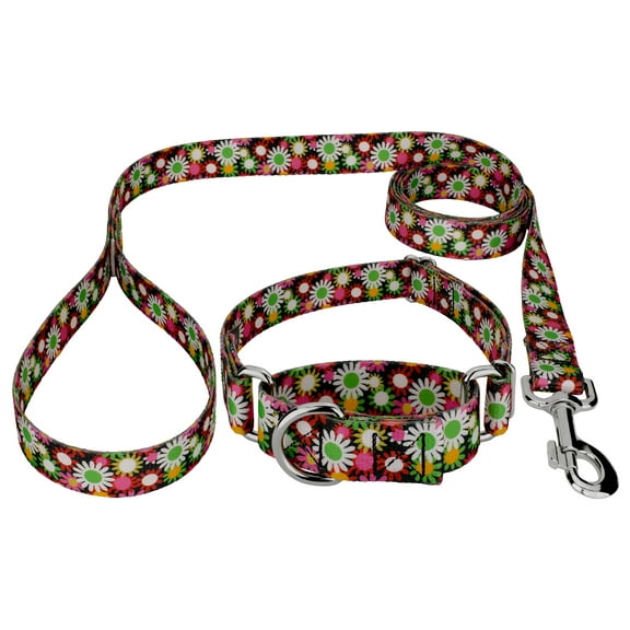 Country Brook Petz® Daisy Fields Martingale Dog Collar and Leash, Extra Large