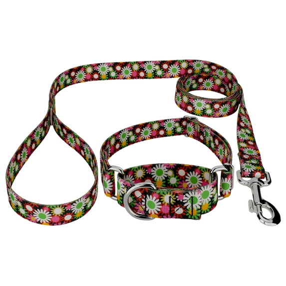 Country Brook Petz® Daisy Fields Martingale Dog Collar and Leash, Small