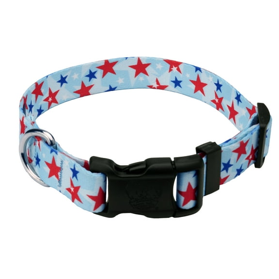 Country Brook Petz® Deluxe American Celebration Dog Collar - Made in the U.S.A., 2XS