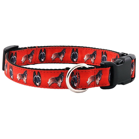 Country Brook Petz® Belgian Tervuren Everyday Ribbon Dog Collar Limited Edition, Extra Large
