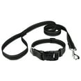 thumbnail image 1 of Country Brook Petz - Deluxe Black Reflective Nylon Dog Collar & Leash - Small, 1 of 6