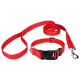 thumbnail image 1 of Country Brook Petz® Deluxe Blaze Orange Reflective Nylon Dog Collar & Leash - Large, 1 of 5