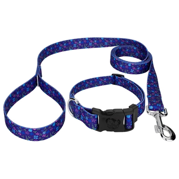 Country Brook Petz® Blueberry Fields Everyday Dog Collar and Leash, Large
