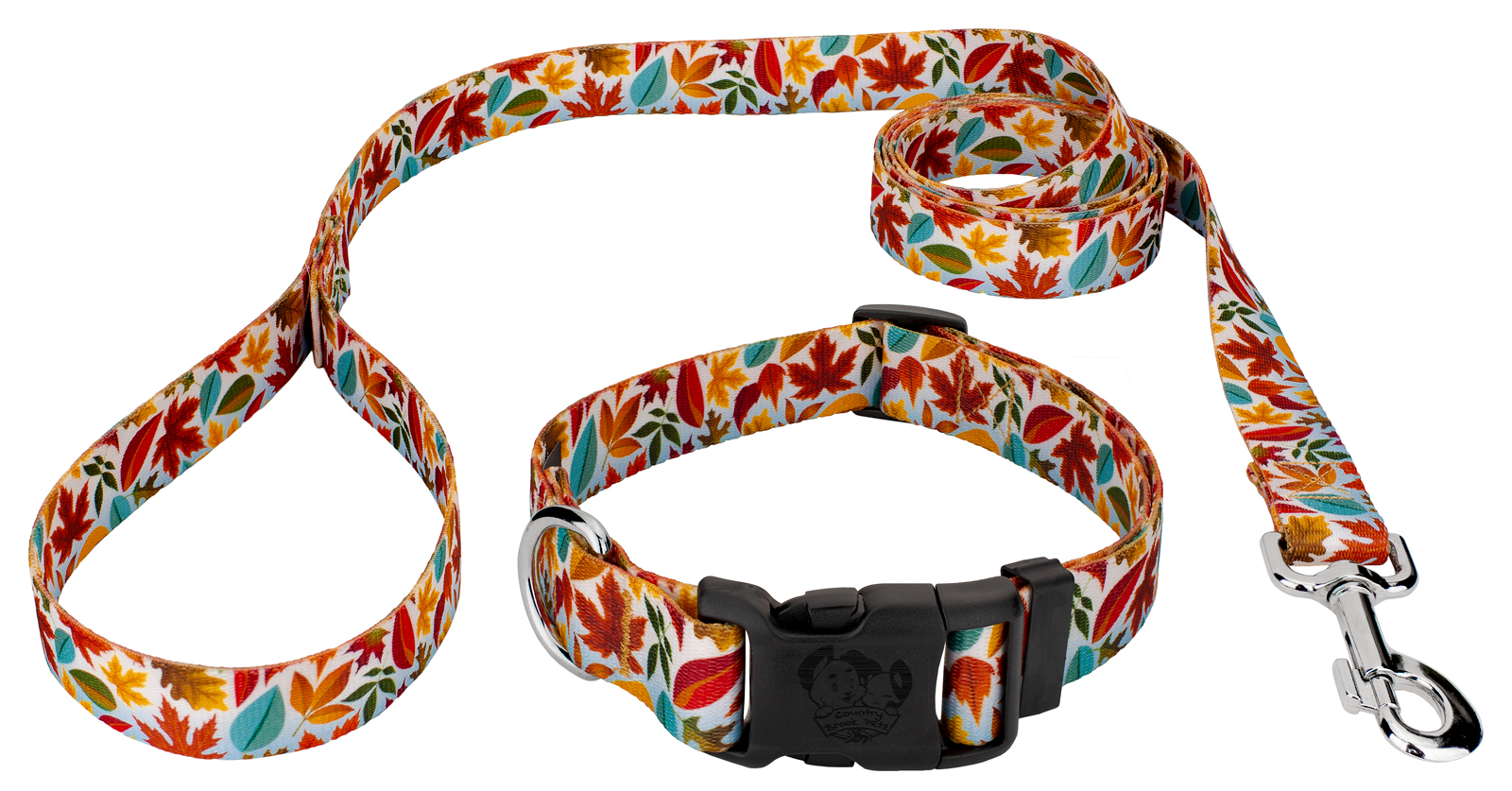 Country Brook Petz® Brisk Autumn Everyday Dog Collar and Leash, Small