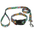 thumbnail image 1 of Country Brook Petz® Comic Pop Everyday Dog Collar and Leash, Medium, 1 of 6