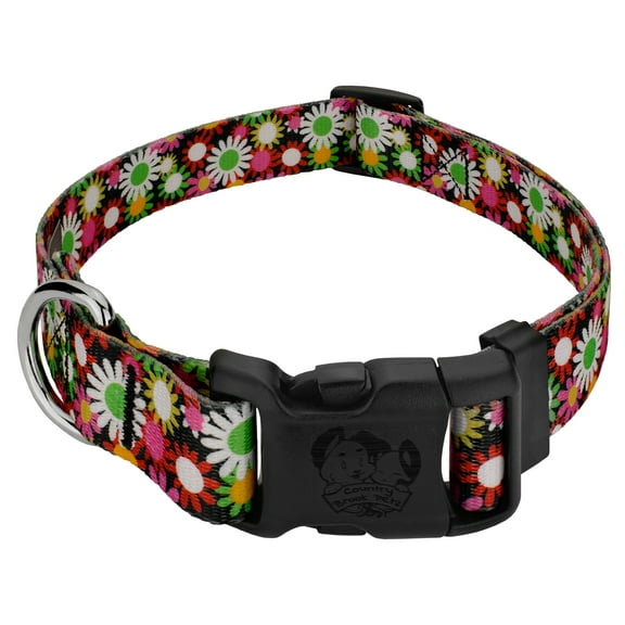 Country Brook Petz® Deluxe Daisy Fields Dog Collar - Made in The U.S.A., Small