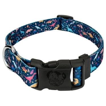 Country Brook Petz® Deluxe Dinosaurs Dog Collar - Made in the U.S.A., Small