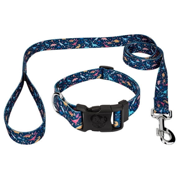 Country Brook Petz Deluxe Dinosaurs Dog Collar and Leash, 2XS
