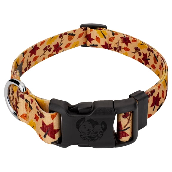 Country Brook Petz® Fall Foliage Everyday Dog Collar - Made In The U.S.A., Medium