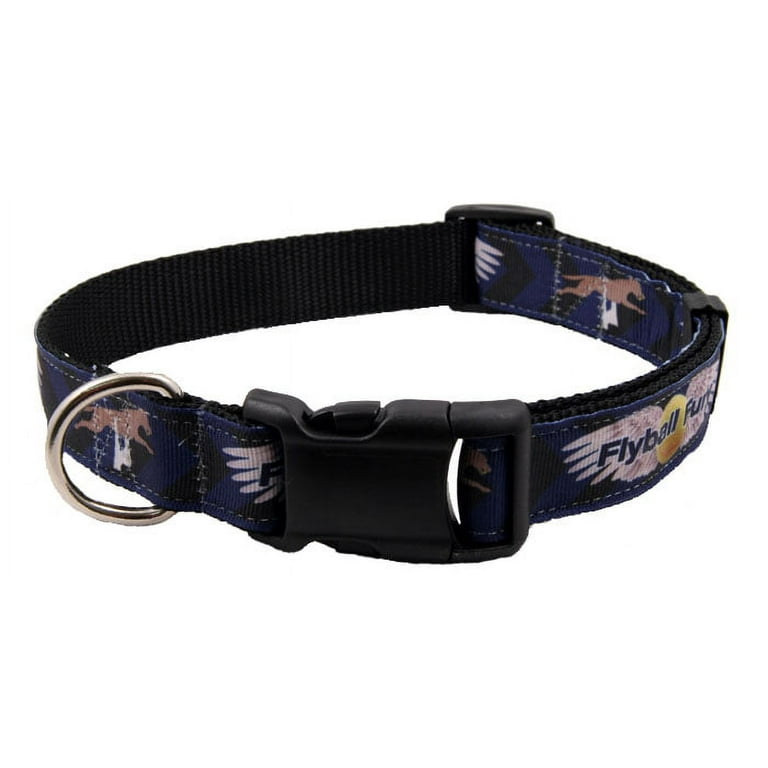 Flyball collar sale