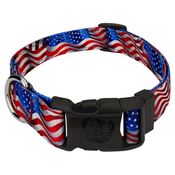 Country Brook Petz® Deluxe Flying Free Reflective Dog Collar, Large