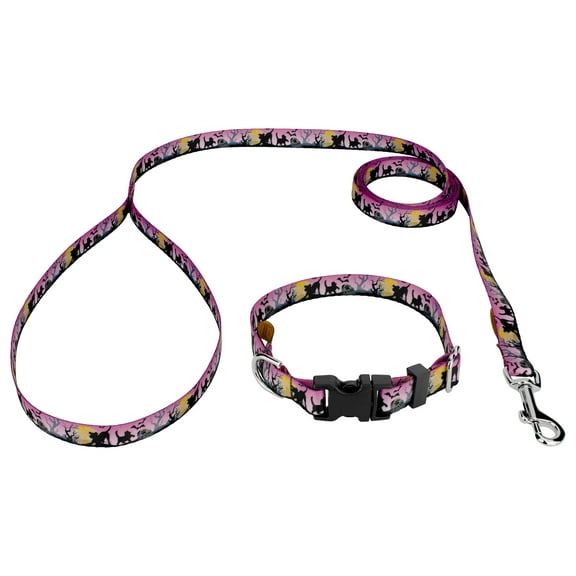 Country Brook Petz® Deluxe Graveyard Dog Collar and Leash, 2XS