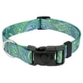 thumbnail image 1 of Country Brook Petz® Deluxe Green Paisley Dog Collar - Made in The U.S.A., 2XS, 1 of 5