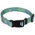 thumbnail image 1 of Country Brook Petz® Deluxe Green Paisley Reflective Dog Collar, Small, 1 of 6